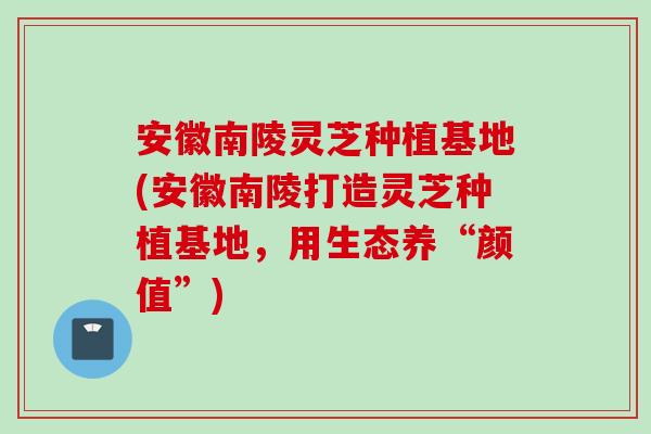 安徽南陵灵芝种植基地(安徽南陵打造灵芝种植基地，用生态养“颜值”)