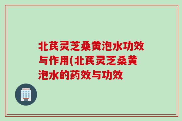 北芪灵芝桑黄泡水功效与作用(北芪灵芝桑黄泡水的药效与功效