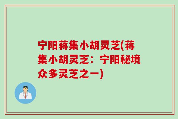 宁阳蒋集小胡灵芝(蒋集小胡灵芝：宁阳秘境众多灵芝之一)