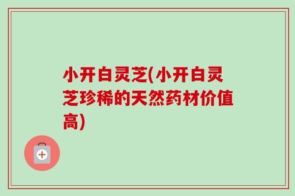 小开白灵芝(小开白灵芝珍稀的天然药材价值高)