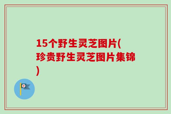 15个野生灵芝图片(珍贵野生灵芝图片集锦)