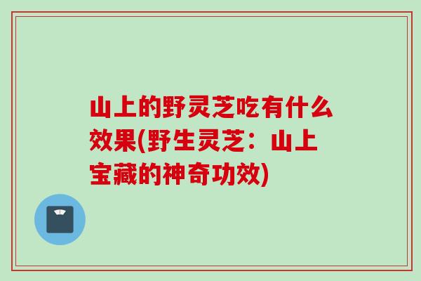山上的野灵芝吃有什么效果(野生灵芝：山上宝藏的神奇功效)