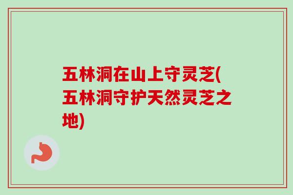 五林洞在山上守灵芝(五林洞守护天然灵芝之地) 五林洞在山上守灵芝(五林洞守护天然灵芝之地)