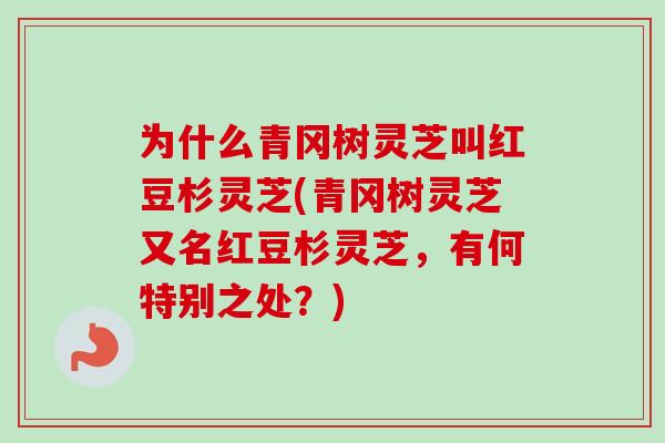为什么青冈树灵芝叫红豆杉灵芝(青冈树灵芝又名红豆杉灵芝,有何特别之处?) 为什么青冈树灵芝叫红豆杉灵芝(青冈树灵芝又名红豆杉灵芝,有何特别之处?)
