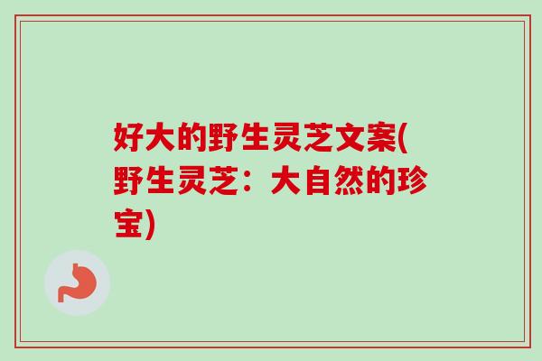 好大的野生灵芝文案(野生灵芝:大自然的珍宝) 好大的野生灵芝文案(野生灵芝:大自然的珍宝)