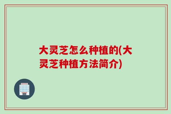 大灵芝怎么种植的(大灵芝种植方法简介)
