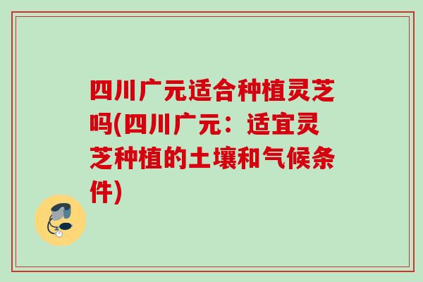 四川广元适合种植灵芝吗(四川广元：适宜灵芝种植的土壤和气候条件)