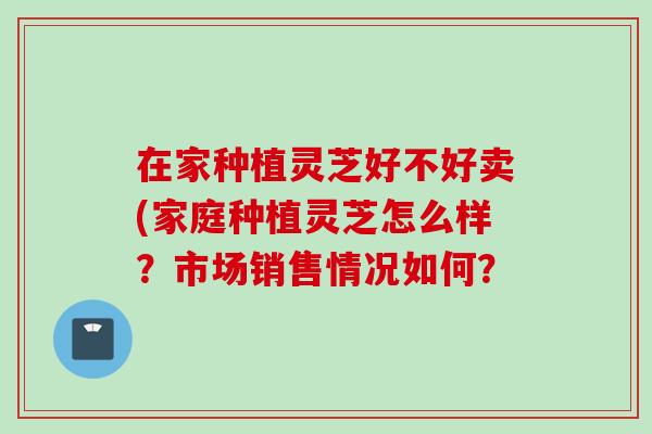 在家种植灵芝好不好卖(家庭种植灵芝怎么样？市场销售情况如何？