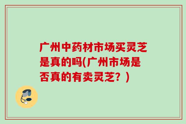 广州中药材市场买灵芝是真的吗(广州市场是否真的有卖灵芝？)