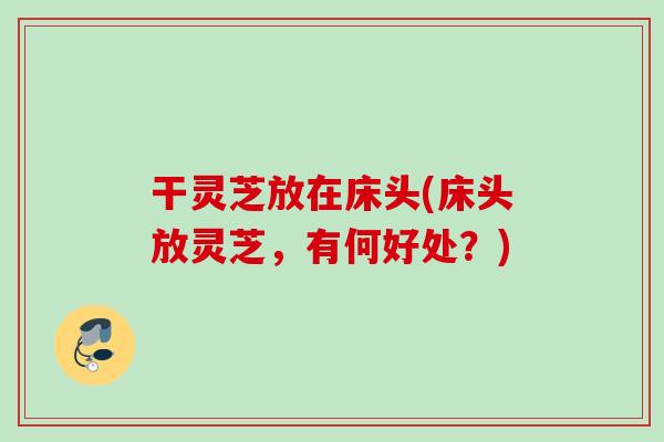 干灵芝放在床头(床头放灵芝，有何好处？)