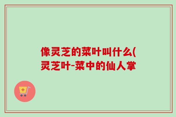 像灵芝的菜叶叫什么(灵芝叶-菜中的仙人掌