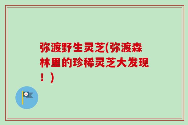 弥渡野生灵芝(弥渡森林里的珍稀灵芝大发现!) 弥渡野生灵芝(弥渡森林里的珍稀灵芝大发现!)