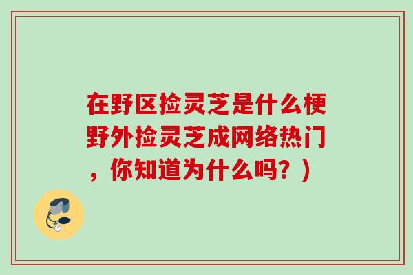 在野区捡灵芝是什么梗野外捡灵芝成网络热门，你知道为什么吗？)