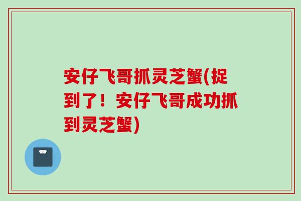安仔飞哥抓灵芝蟹(捉到了！安仔飞哥成功抓到灵芝蟹)
