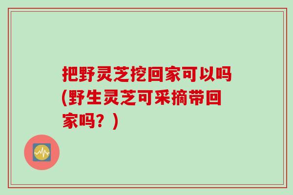 把野灵芝挖回家可以吗(野生灵芝可采摘带回家吗?) 把野灵芝挖回家可以吗(野生灵芝可采摘带回家吗?)