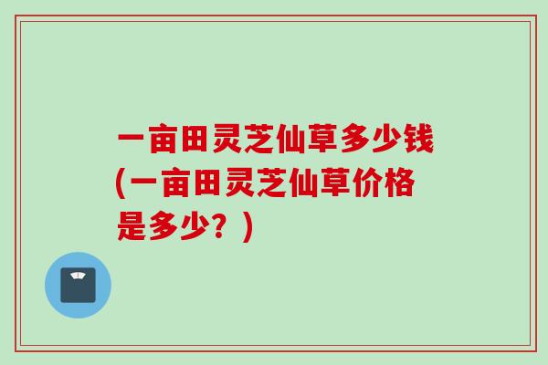 一亩田灵芝仙草多少钱(一亩田灵芝仙草价格是多少？)