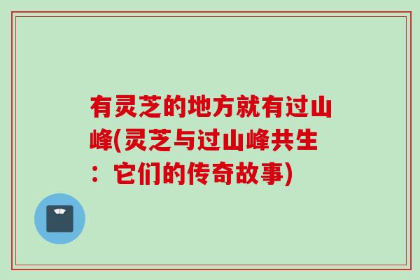 有灵芝的地方就有过山峰(灵芝与过山峰共生：它们的传奇故事)