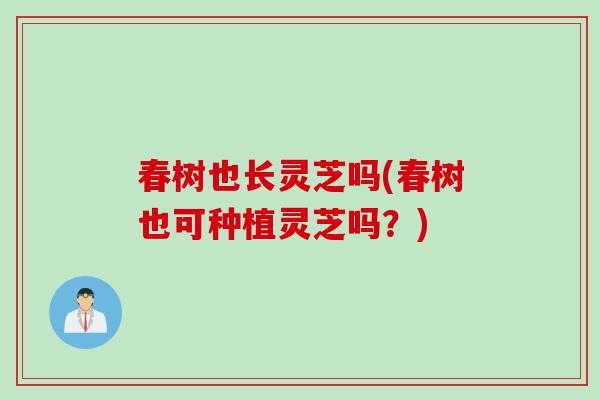 春树也长灵芝吗(春树也可种植灵芝吗？)