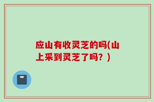 应山有收灵芝的吗(山上采到灵芝了吗?) 应山有收灵芝的吗(山上采到灵芝了吗?)