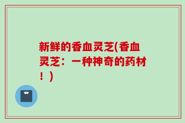 新鲜的香血灵芝(香血灵芝：一种神奇的药材！)