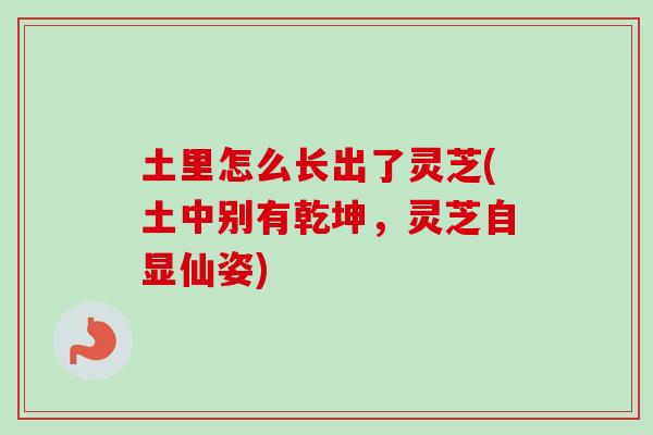 土里怎么长出了灵芝(土中别有乾坤，灵芝自显仙姿)