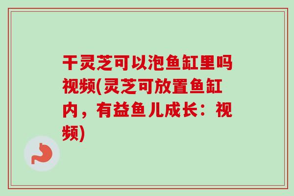 干灵芝可以泡鱼缸里吗视频(灵芝可放置鱼缸内,有益鱼儿成长:视频) 干灵芝可以泡鱼缸里吗视频(灵芝可放置鱼缸内,有益鱼儿成长:视频)