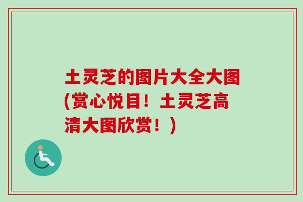 土灵芝的图片大全大图(赏心悦目！土灵芝高清大图欣赏！)