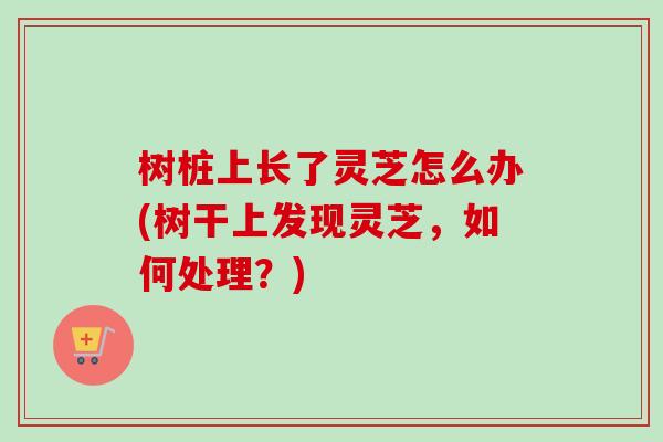 树桩上长了灵芝怎么办(树干上发现灵芝，如何处理？)