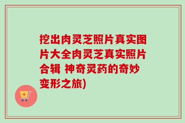 挖出肉灵芝照片真实图片大全肉灵芝真实照片合辑 神奇灵药的奇妙变形之旅)