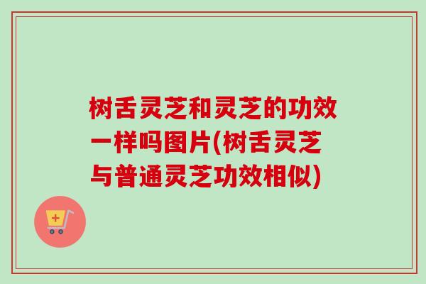 树舌灵芝和灵芝的功效一样吗图片(树舌灵芝与普通灵芝功效相似)