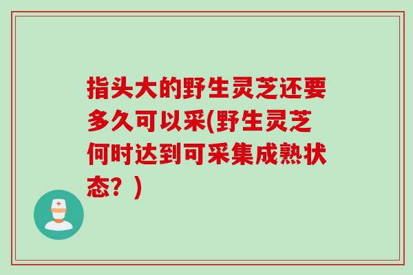指头大的野生灵芝还要多久可以采(野生灵芝何时达到可采集成熟状态？)
