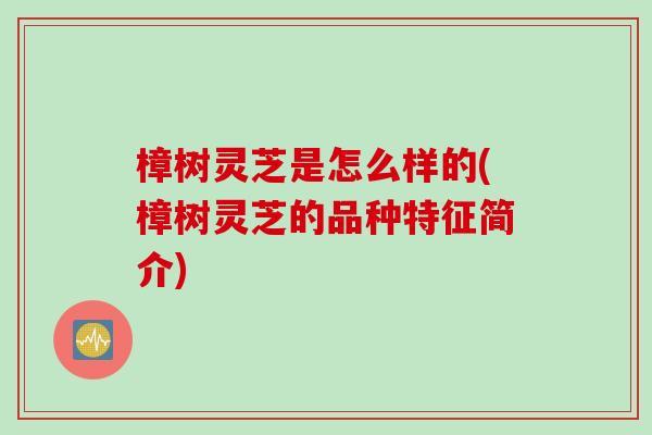 樟树灵芝是怎么样的(樟树灵芝的品种特征简介)