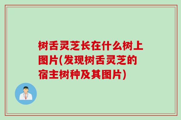 树舌灵芝长在什么树上图片(发现树舌灵芝的宿主树种及其图片)