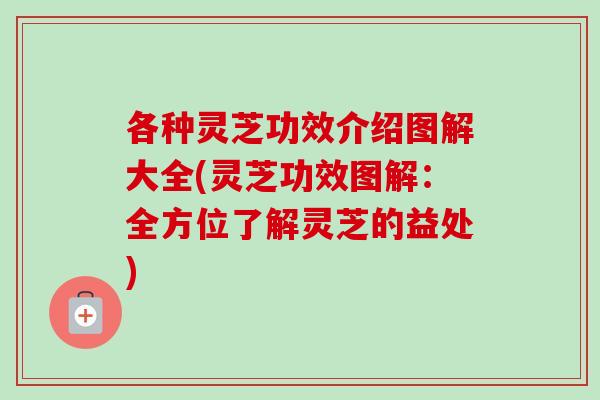 各种灵芝功效介绍图解大全(灵芝功效图解：全方位了解灵芝的益处)