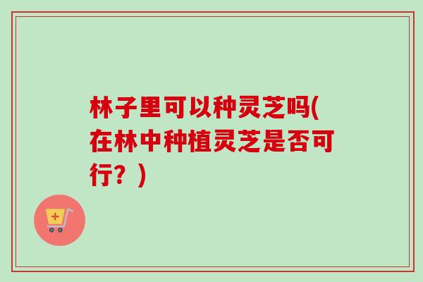 林子里可以种灵芝吗(在林中种植灵芝是否可行？)