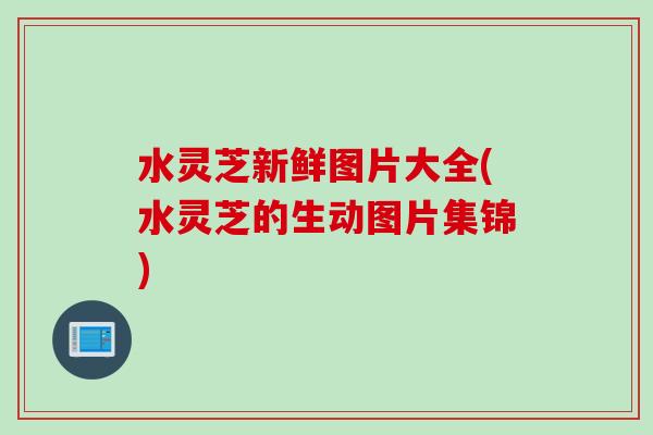 水灵芝新鲜图片大全(水灵芝的生动图片集锦)