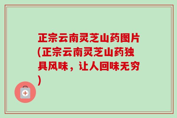 正宗云南灵芝山药图片(正宗云南灵芝山药独具风味，让人回味无穷)