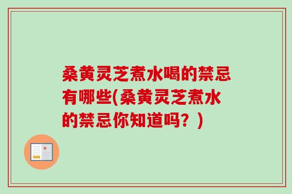 桑黄灵芝煮水喝的禁忌有哪些(桑黄灵芝煮水的禁忌你知道吗？)