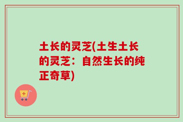土长的灵芝(土生土长的灵芝：自然生长的纯正奇草)