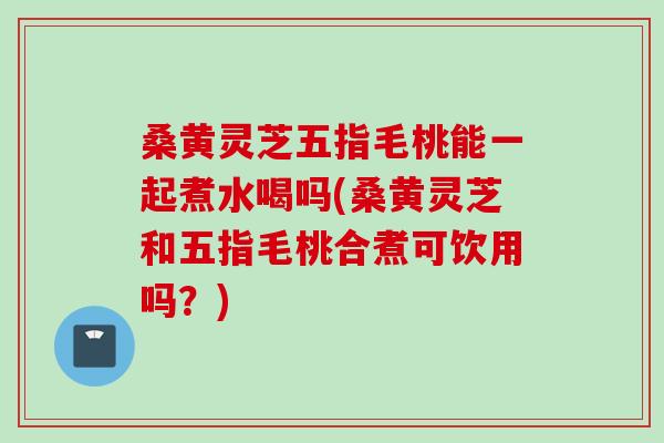 桑黄灵芝五指毛桃能一起煮水喝吗(桑黄灵芝和五指毛桃合煮可饮用吗？)