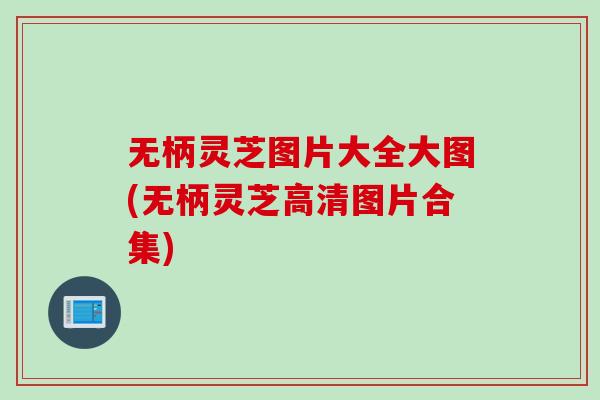 无柄灵芝图片大全大图(无柄灵芝高清图片合集) 无柄灵芝图片大全大图(无柄灵芝高清图片合集)