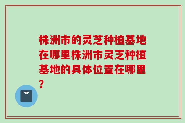 株洲市的灵芝种植基地在哪里株洲市灵芝种植基地的具体位置在哪里？