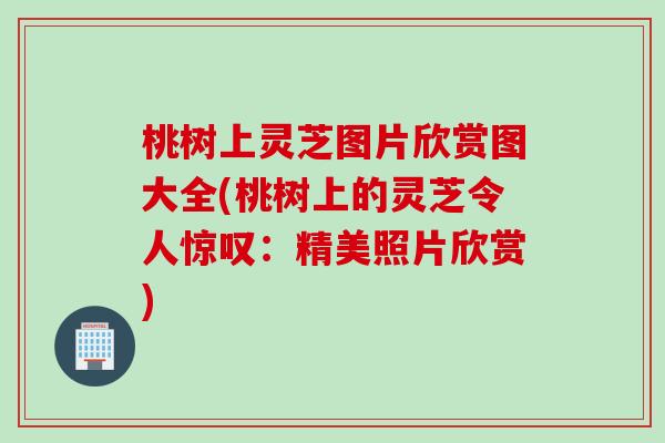桃树上灵芝图片欣赏图大全(桃树上的灵芝令人惊叹：精美照片欣赏)