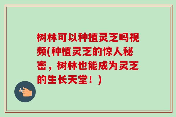 树林可以种植灵芝吗视频(种植灵芝的惊人秘密，树林也能成为灵芝的生长天堂！)