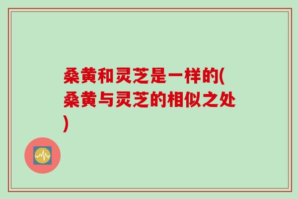 桑黄和灵芝是一样的(桑黄与灵芝的相似之处)