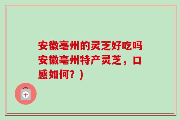安徽亳州的灵芝好吃吗安徽亳州特产灵芝，口感如何？)