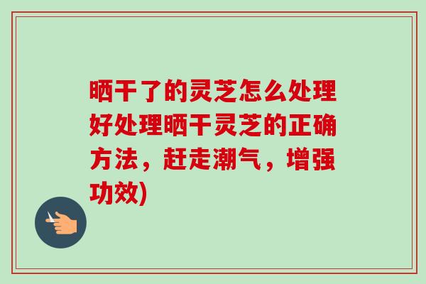 晒干了的灵芝怎么处理好处理晒干灵芝的正确方法，赶走潮气，增强功效)