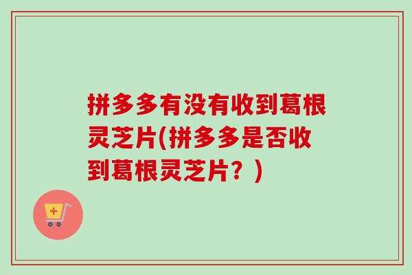 拼多多有没有收到葛根灵芝片(拼多多是否收到葛根灵芝片？)