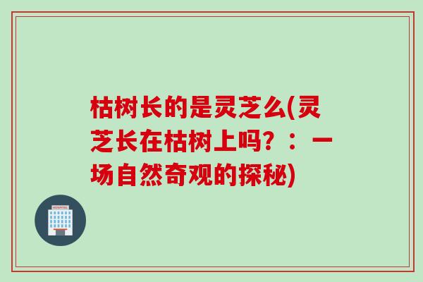 枯树长的是灵芝么(灵芝长在枯树上吗？：一场自然奇观的探秘)