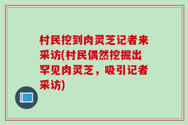 村民挖到肉灵芝记者来采访(村民偶然挖掘出罕见肉灵芝，吸引记者采访)